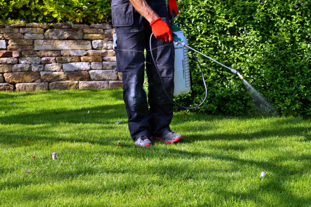 Best Pest Prevention Services  in Avon Lake, OH